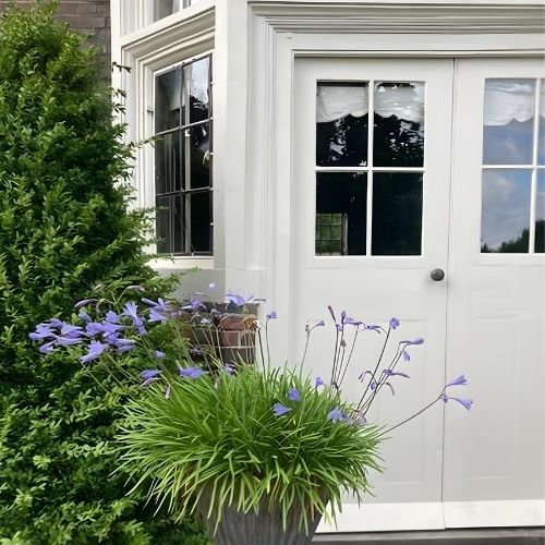 Restoration White (3) - Image 3