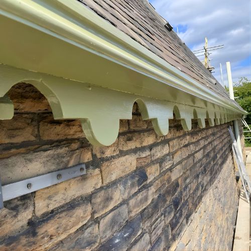 Olive (16) - Image 6